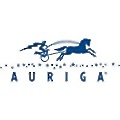 Auriga