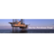 Marine Petroleum Trust