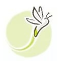 Luciole Medical