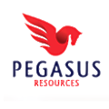 Pegasus Resources