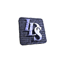 Integrated Dynamic Solutions