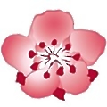 China Airlines
