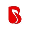BrainMobi