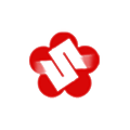 Nanjing Yangzi State-owned Assets Investment Group