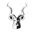 Kudu Dynamics