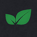 Mint Software