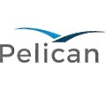 Pelican