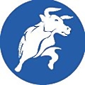 Blackbull Markets