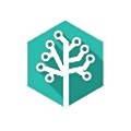 Remarque Systems
