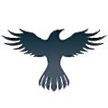Raven Protocol