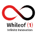 WhileOfOne