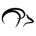 Runibex Technology Group