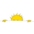 Sunny Side Up