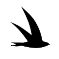 Swiftarc Capital