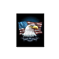SCC Eagle