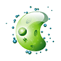 Biophagy