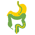 HC Surgical Specialists