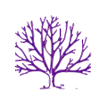 Nitrase Therapeutics