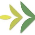 SeedForward