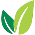 Visionscape Group