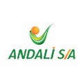 Andali