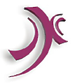 PitchPoint Solutions
