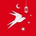 Snoonu