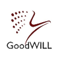 Goodwill Infotech