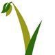 Early Growth Financial Services
