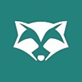 RoomRaccoon