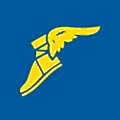 Goodyear India