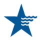 American Water Works