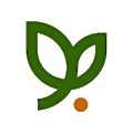 Vultus