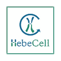 HebeCell
