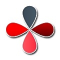 IT Consulting Partners