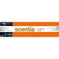 Scentia Consulting