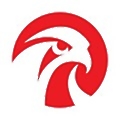 Falcon's Beyond Global