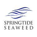 Springtide Seaweed