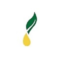 Young Living