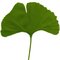 Cambridge Natural Foods