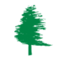 Soaring Pine Capital