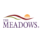 Meadows Behavioral Healthcare