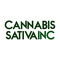 Cannabis Sativa