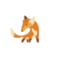 FoxCommerce