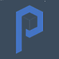 Paragon Software Engineering