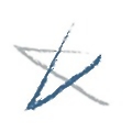 Asteres