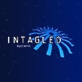 Intagleo Systems
