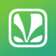 Saavn
