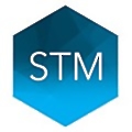 STM Group