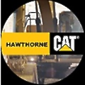 Hawthorne Cat
